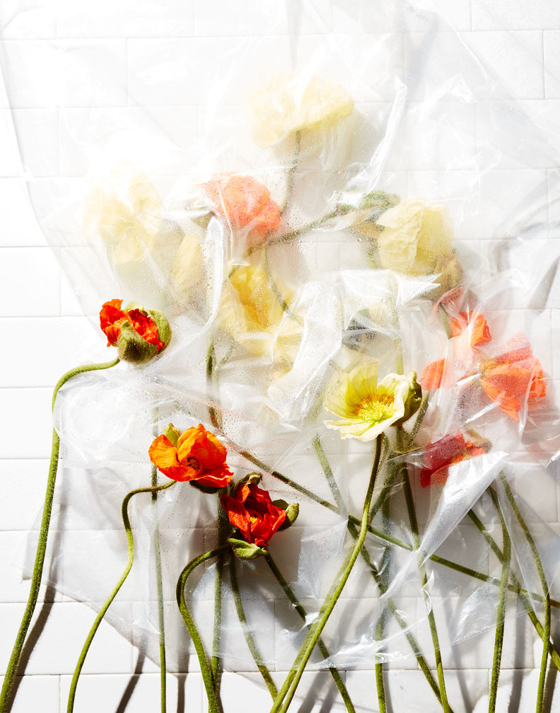 poppys_plastic